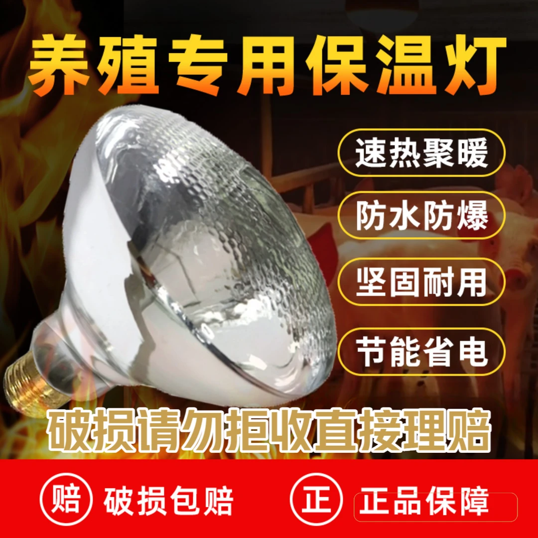【养猪平凡人推荐】养殖场取暖麻面加厚防水小猪小鸡畜牧保温灯