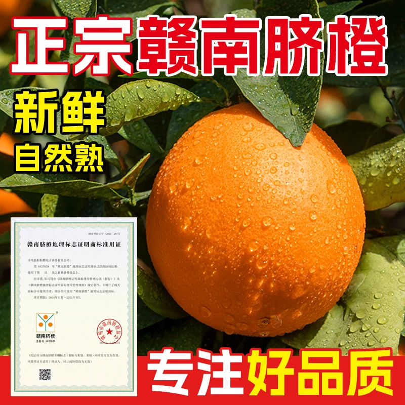 Z【正宗江西赣南脐橙】产地直发带箱3斤/5斤/10斤新鲜当季孕妇水果
