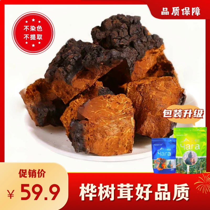 中俄边境桦树茸包邮白桦茸煮水喝特别好营养浓郁