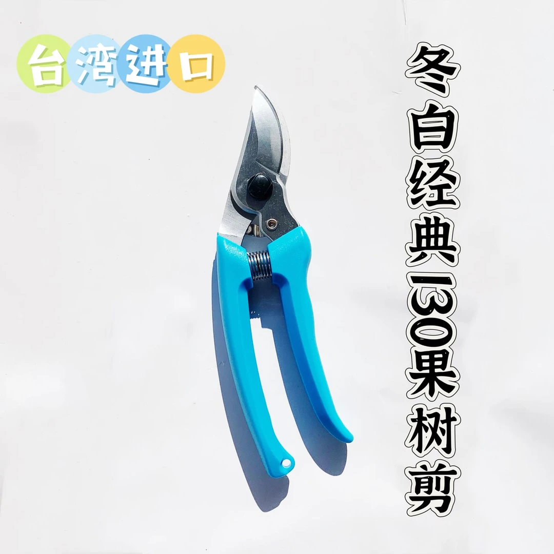冬白130园艺修枝剪果树剪刀修剪树枝剪刀树枝家用剪园林花剪刀