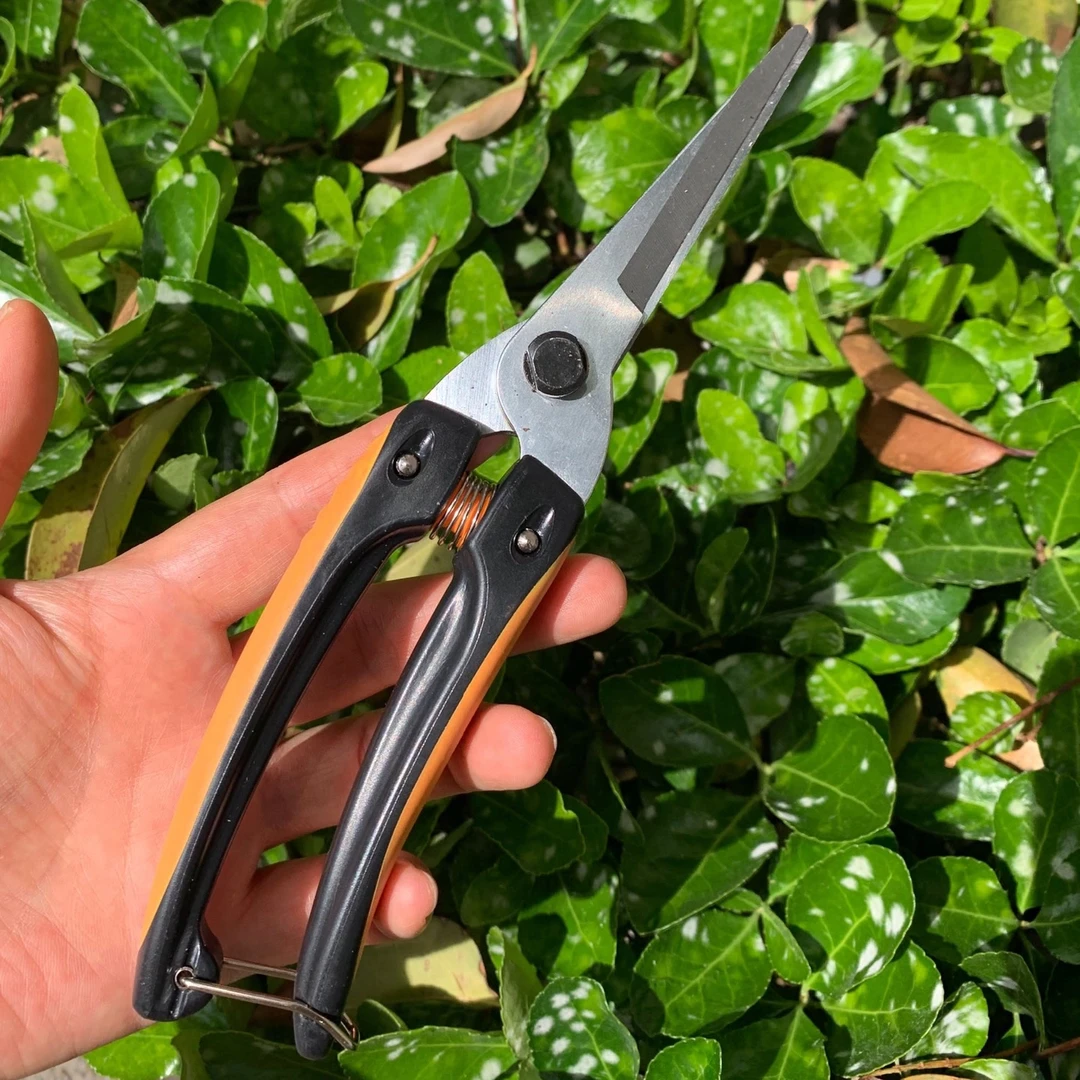 德国钢稀花剪进口正宗专业专用可以剪树枝的稀花剪大号修枝剪剪刀