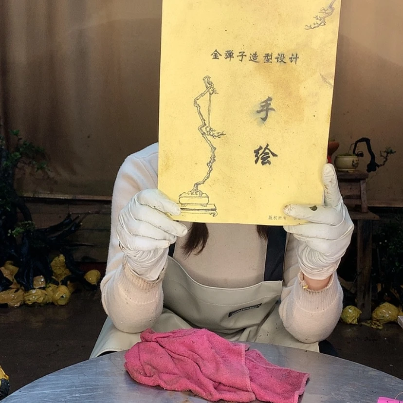 【闪购商品】手绘图