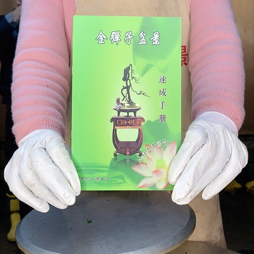 【闪购商品】145养护手册——-