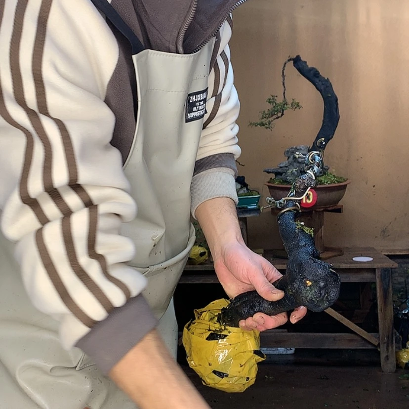 【闪购商品】老*姓8654567
