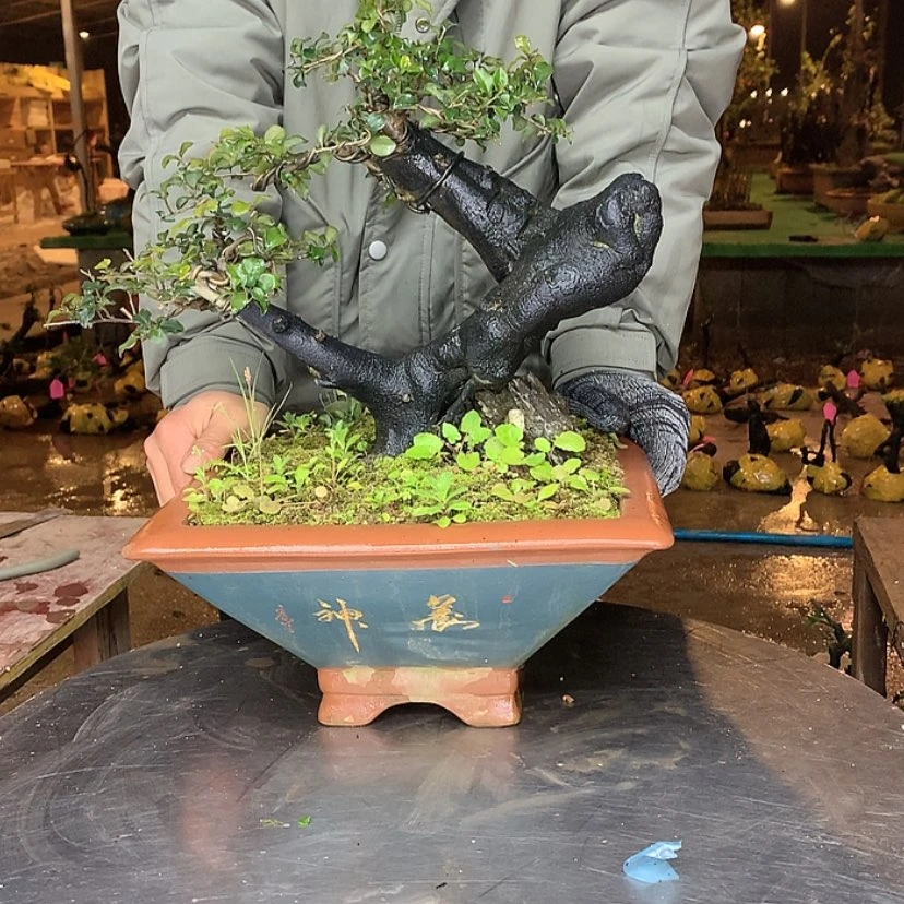 【闪购商品】不*线75358987