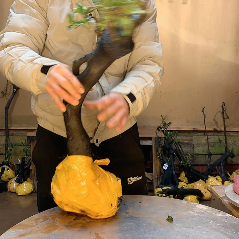 【闪购商品】岁**老接电话接孩子