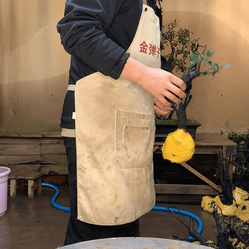 【闪购商品】75677655