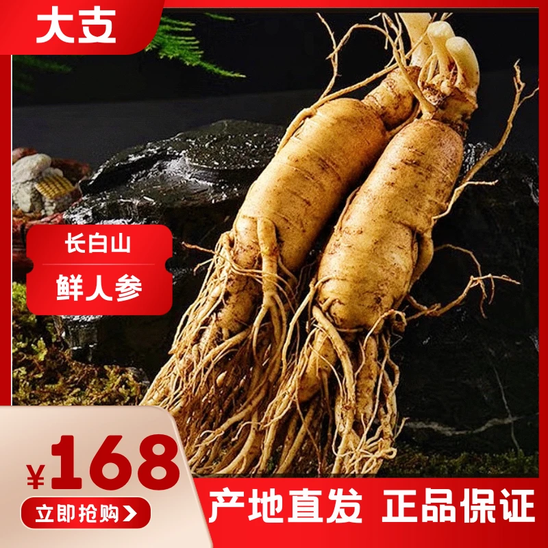 4号【2支装泡酒送礼】长白山原产地2支大精品鲜人参泡酒送礼炖汤