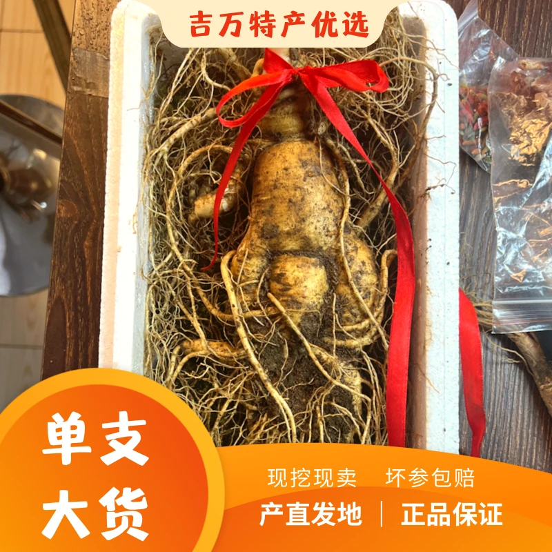 5号【大单根高年份】三两 四两 五两 六两长白山送礼泡酒新鲜人参