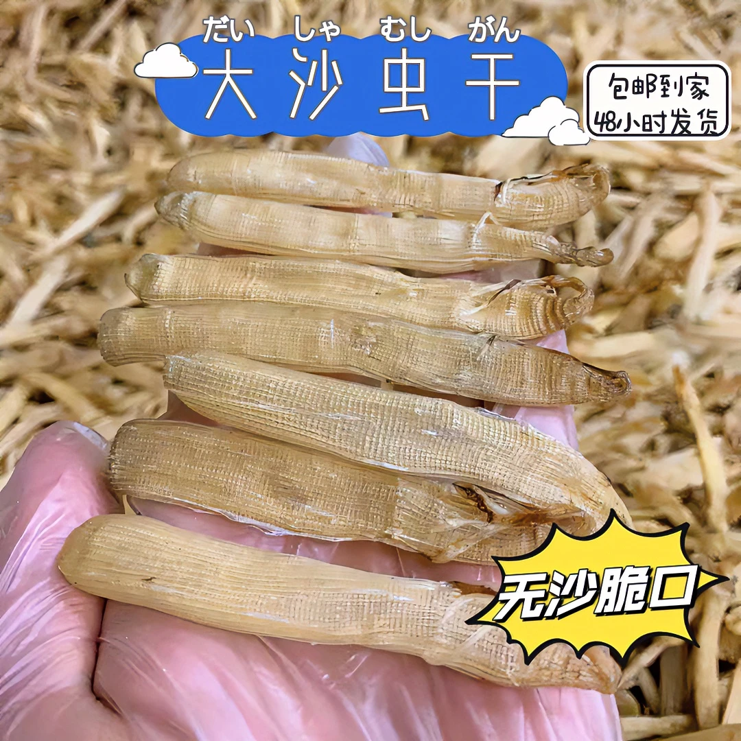 广东湛江大沙虫干 去沙袋 370头太阳晒干 煲汤 煲粥 炒菜 盐爆