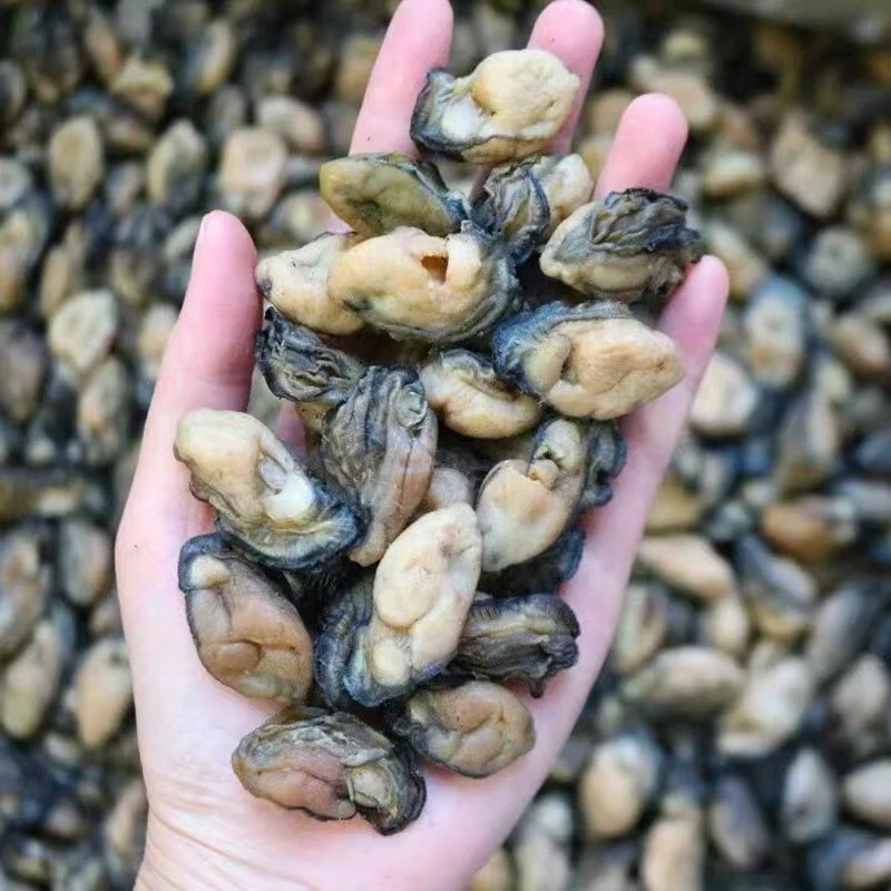 湛江生蚝 淡晒 蚝干 不抽油  湛江特产 海味干货