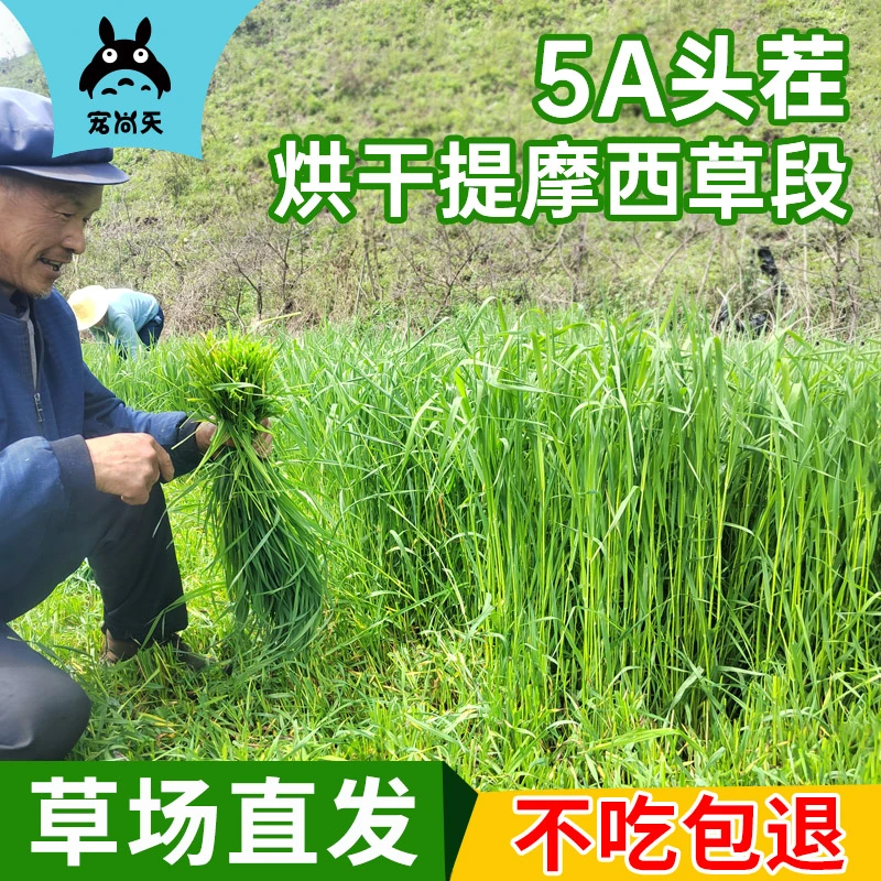 新烘干提摩西草干草切段兔子食用草料荷兰猪龙猫豚鼠草料兔粮甘肃