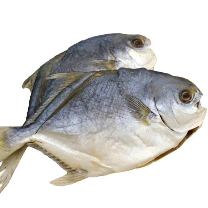 新广隆台山特产 特大开片金鲳鱼干 4条装（6-7两/条）