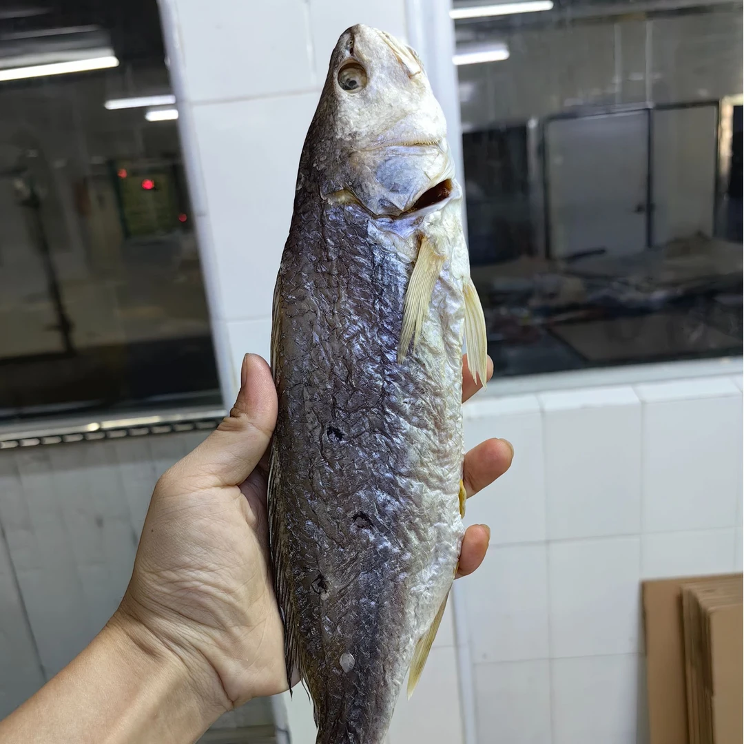 台山特产 广海梅香白花  整条