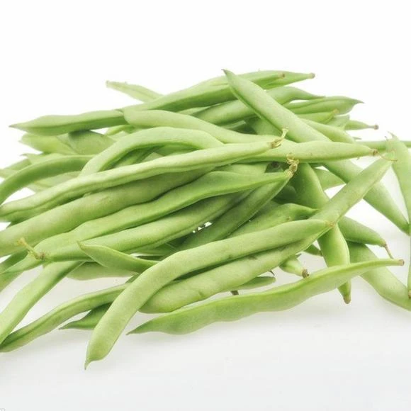 豆角种子无架早熟地豆种子四季豆种子矮生不用搭架可盆栽蔬菜种子