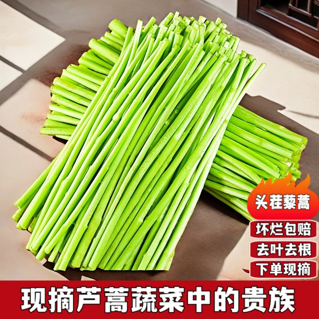 农家新鲜蔬菜嫩芦蒿杆子藜蒿黎蒿去叶老根净菜柳泥蒿芽炒腊肉野菜