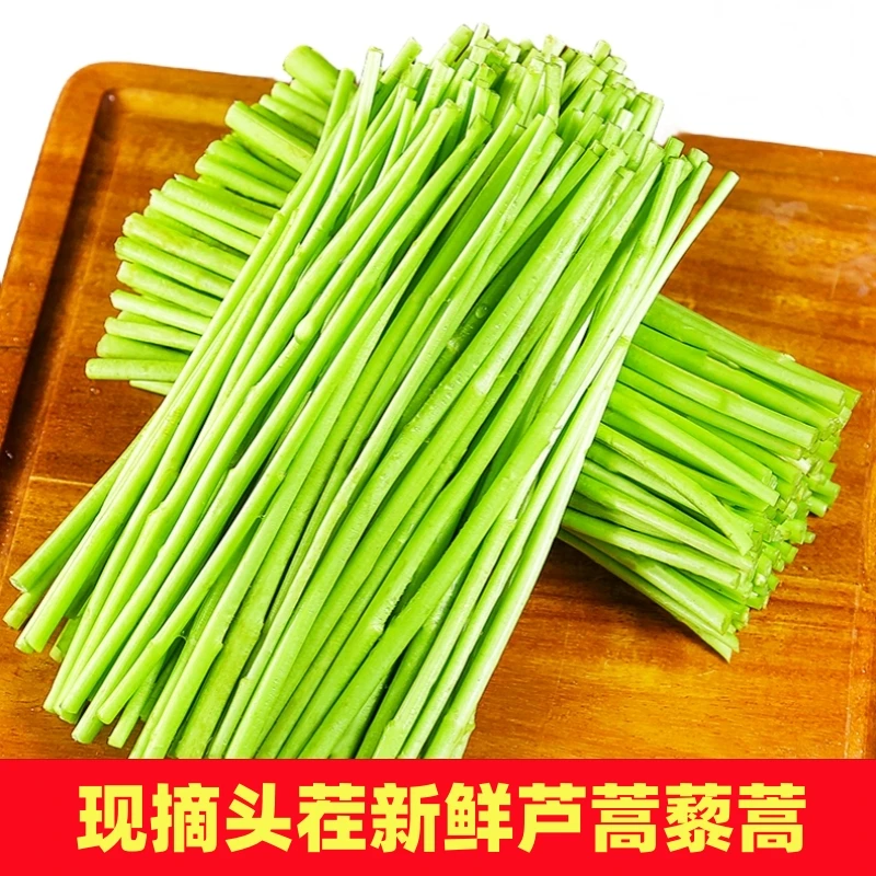 现摘新鲜农家蔬菜嫩芦蒿杆子藜蒿黎蒿手工去叶老根净菜柳泥蒿野菜