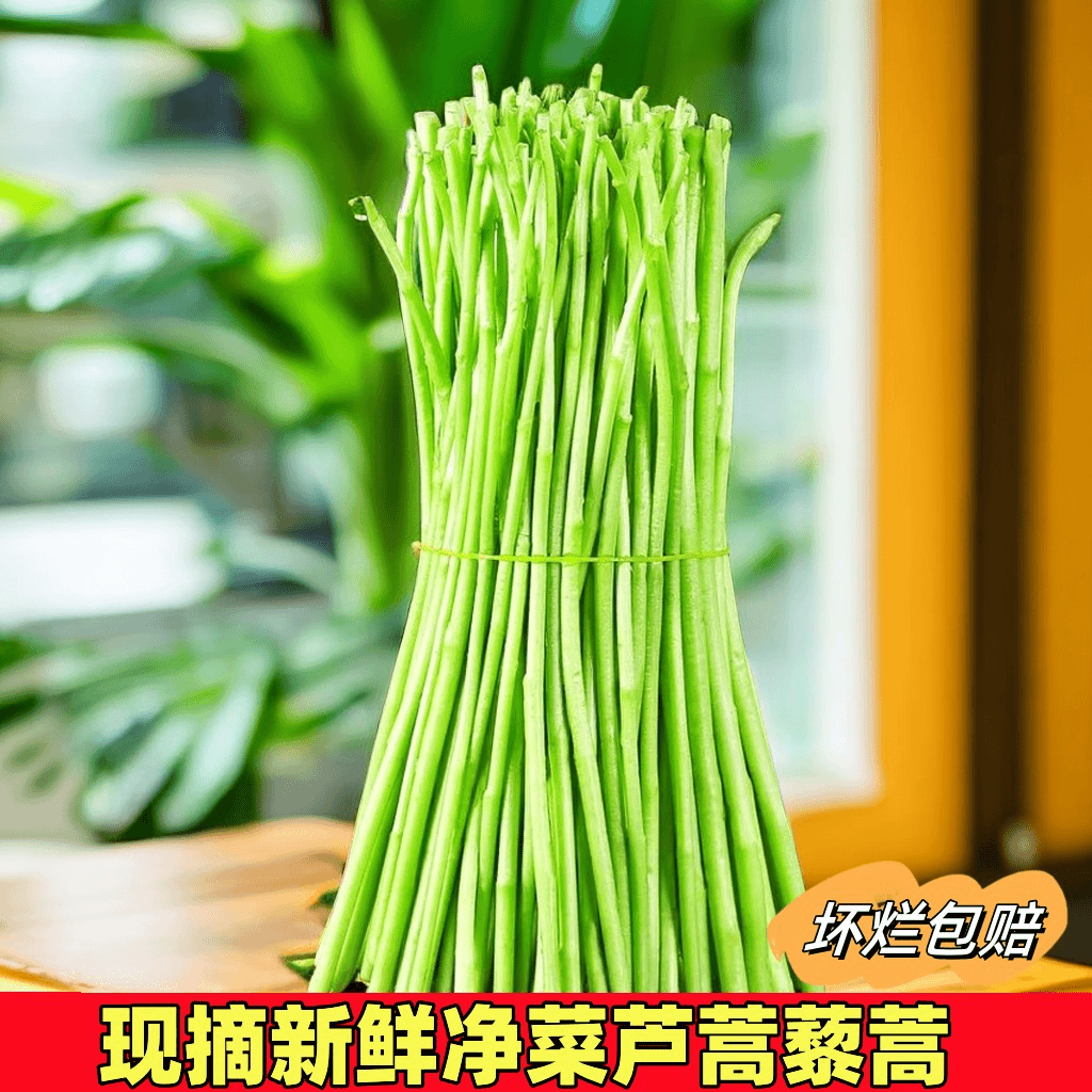 农家自种精选蔬菜嫩芦蒿杆子藜蒿黎蒿去叶老根净菜柳泥蒿野菜新鲜