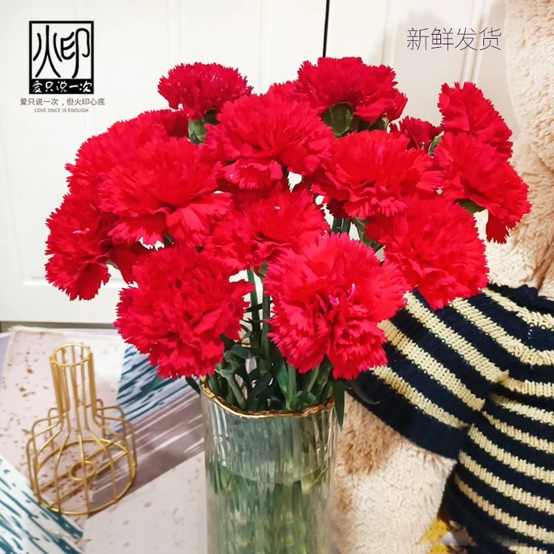 【顺丰包邮】红色康乃馨100枝