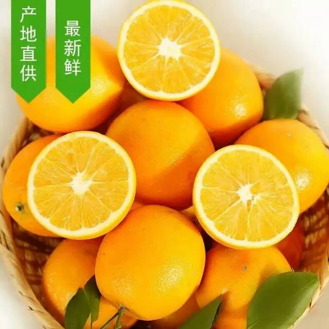 正宗赣南脐橙信丰脐橙玲玲果果园直发顺丰京东包邮