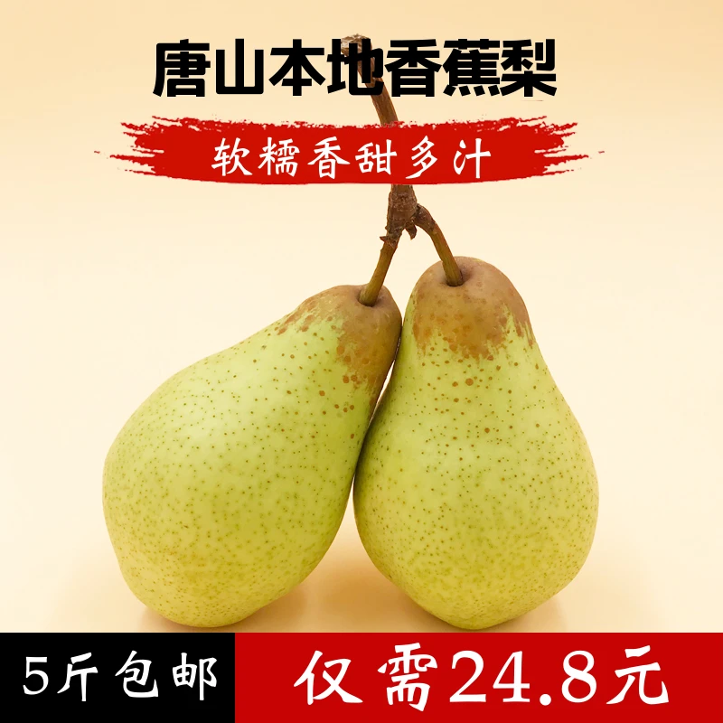 河北唐山香蕉梨软糯瓢梨贵妃梨放软吃很好吃的捂久香梨5斤包邮