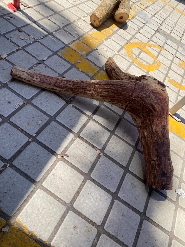 海南黄花梨根料子 花纹圈圈