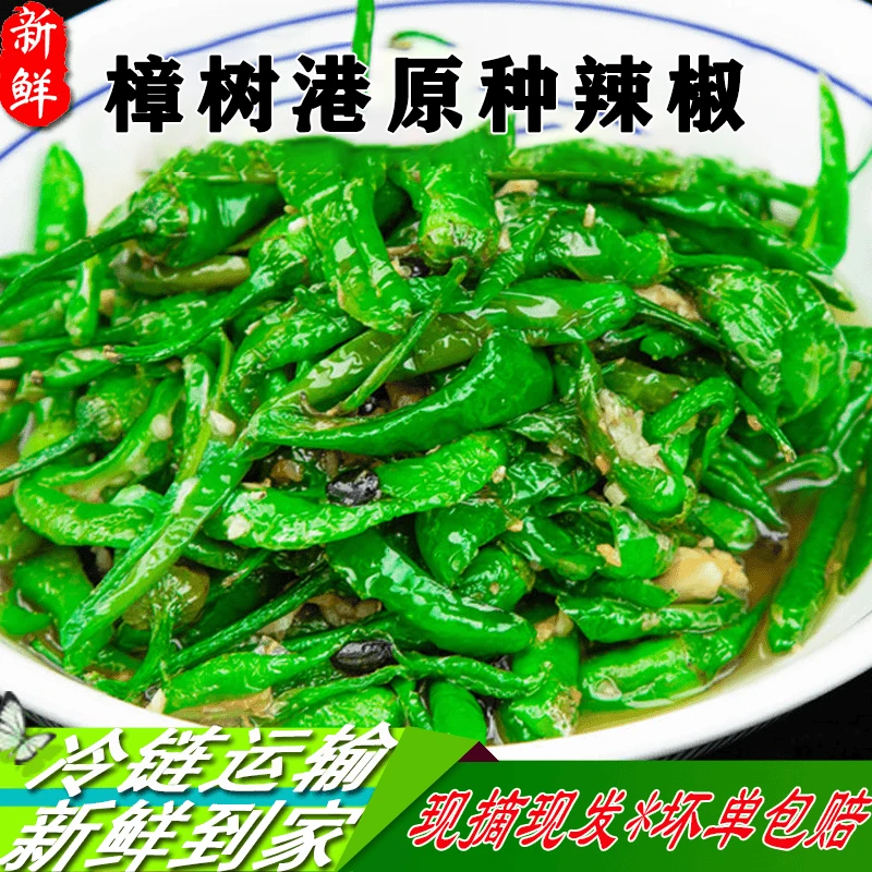 抢！【中辣椒香】精选正宗湖南樟树港原种辣椒薄皮小青椒产地采摘