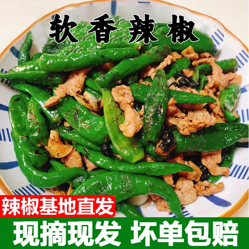 抢！【微辣清香】正宗湖南樟树港原种辣椒软香辣椒薄皮美味小青椒