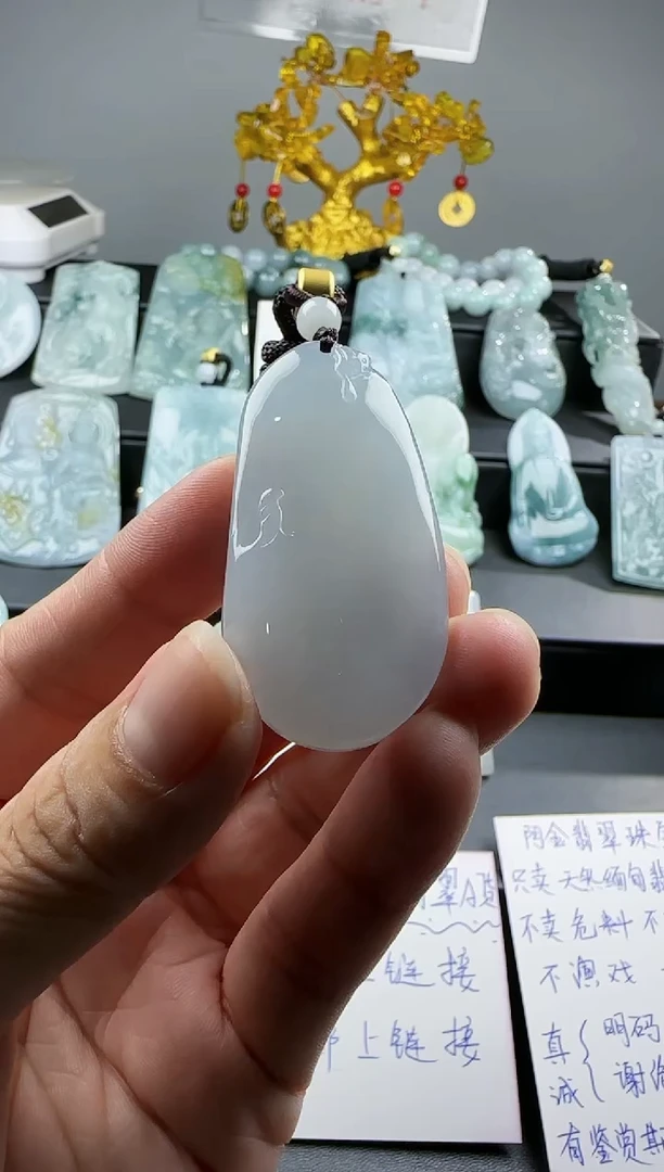 【闪购商品】翡翠颈饰未镶嵌悟道