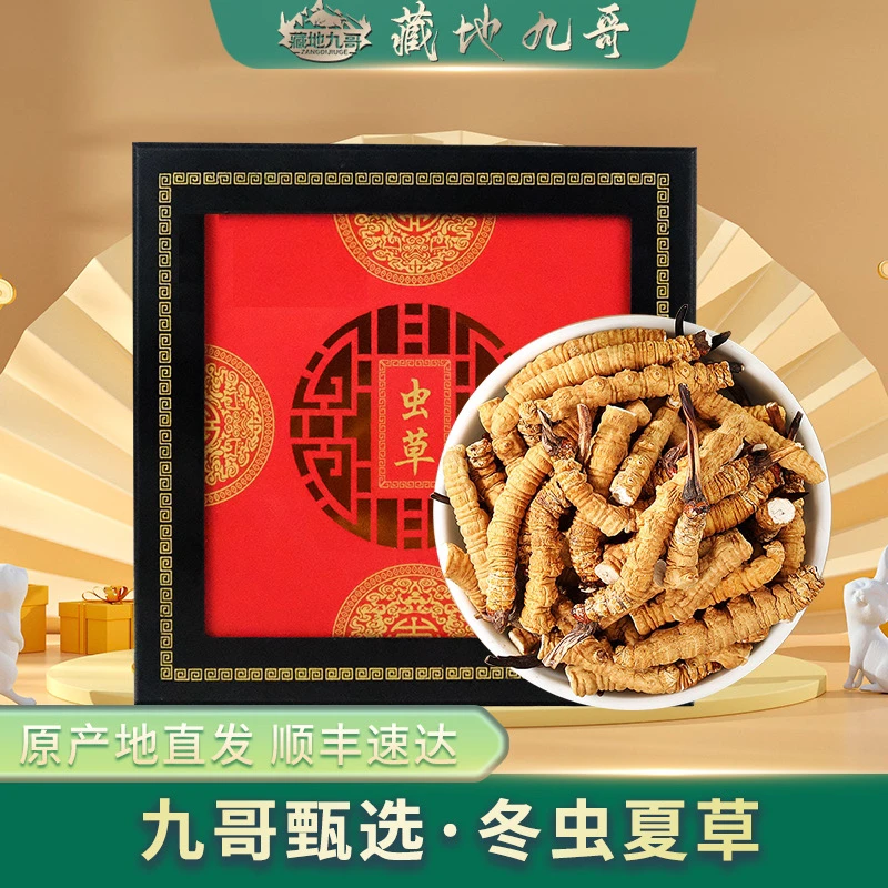 藏地九哥干冬虫夏草15克选拔大断草高性价比自用带礼盒滋补