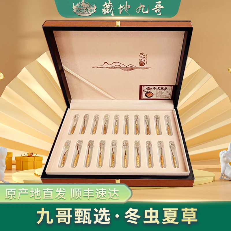 藏地九哥冬虫夏草20根装送礼自用佳品滋补高端食用甄选干草3