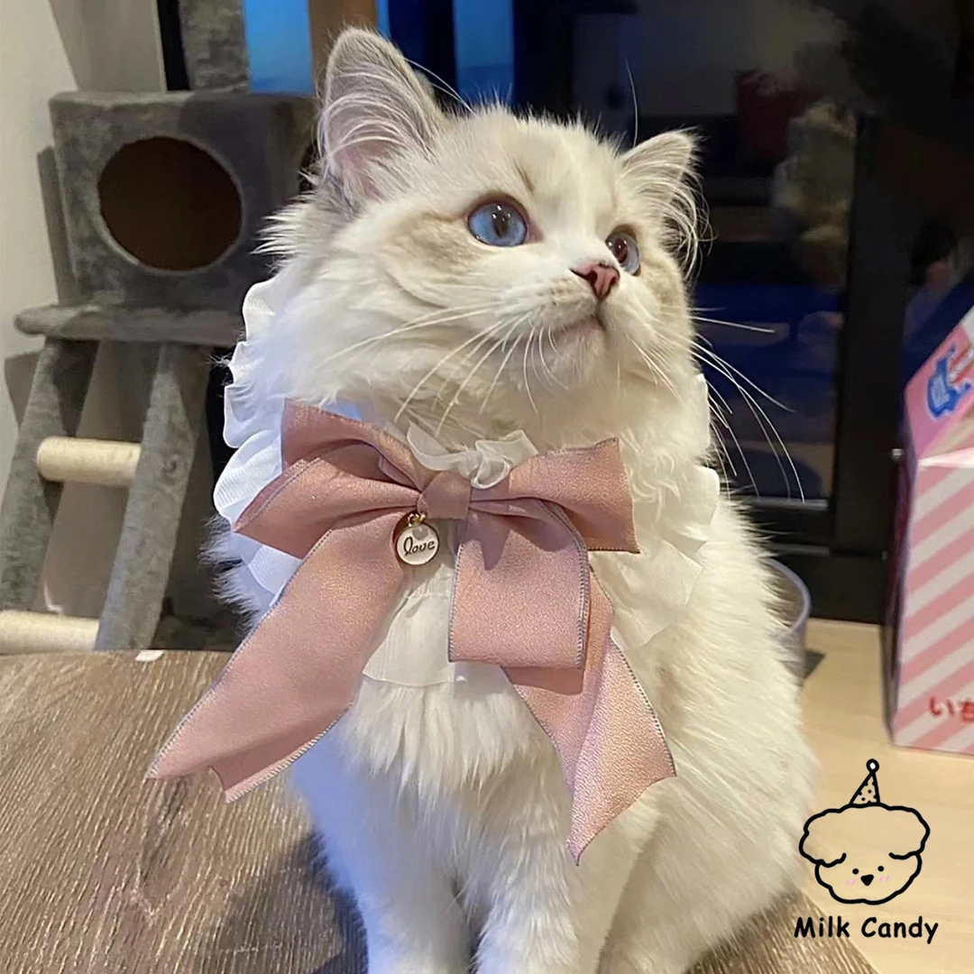 猫咪项圈围巾狗狗围脖公主风宠物猫猫围兜脖圈装饰饰品口水巾项链
