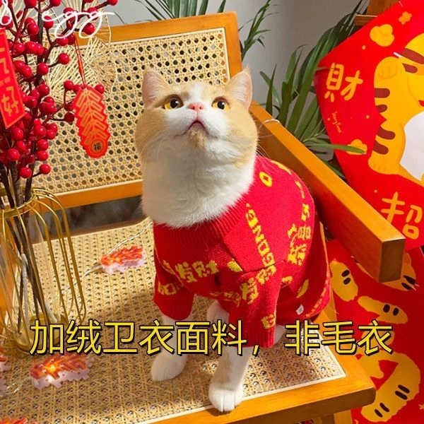 宠物猫咪衣服冬季猫猫狗狗冬装红色过年装喜庆冬天卫衣保暖防掉毛