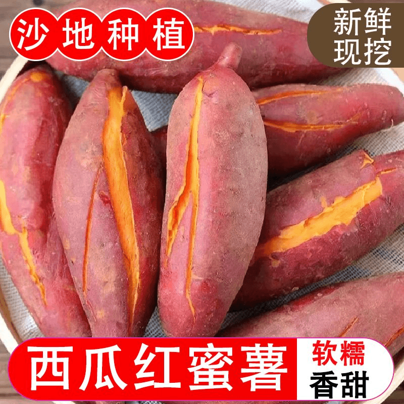 【阿昊】新鲜沙地西瓜红蜜薯红薯芋头糖心流油烤地瓜番薯红心新鲜农