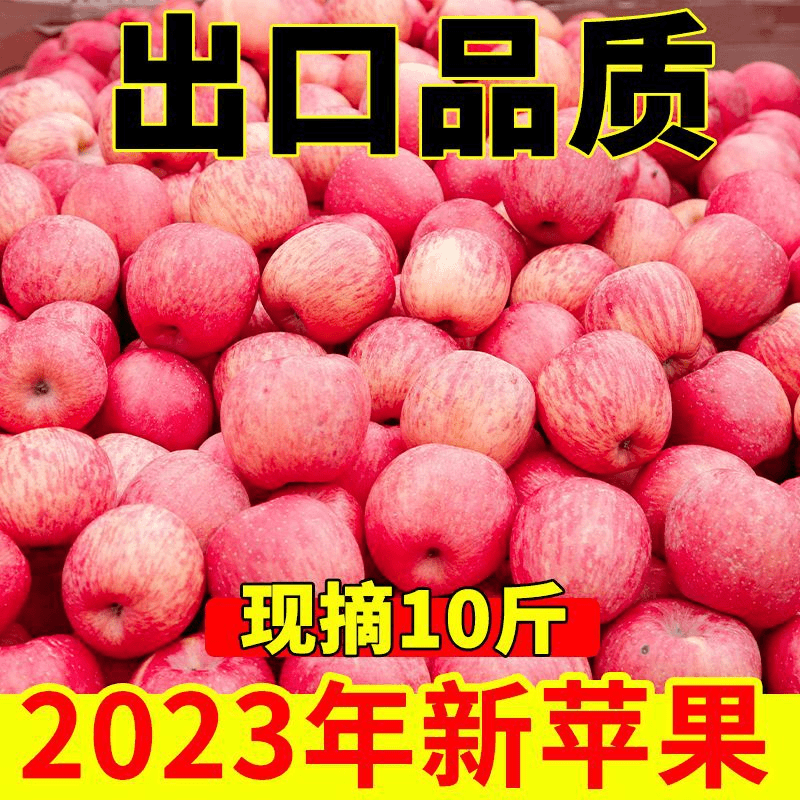 【阿昊】【2023新果】现摘陕西红富士苹果新鲜应季水果脆甜冰糖心整箱
