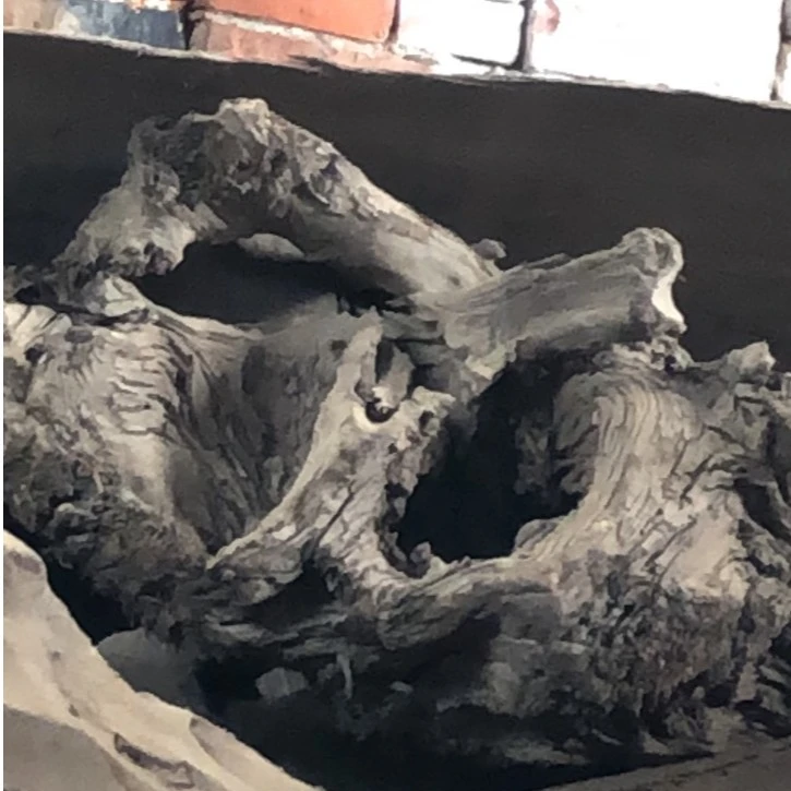 7号小叶桢楠乌木（直播间实物为准）