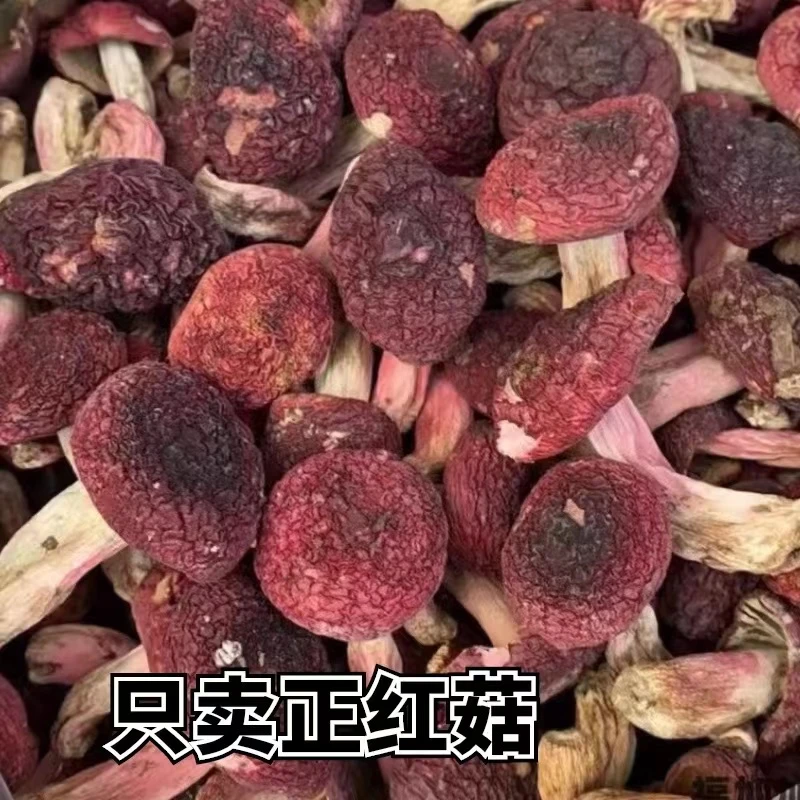 红菇干货福建蓝底大红菇 月子菇香菇红 精品蘑菇50克本地