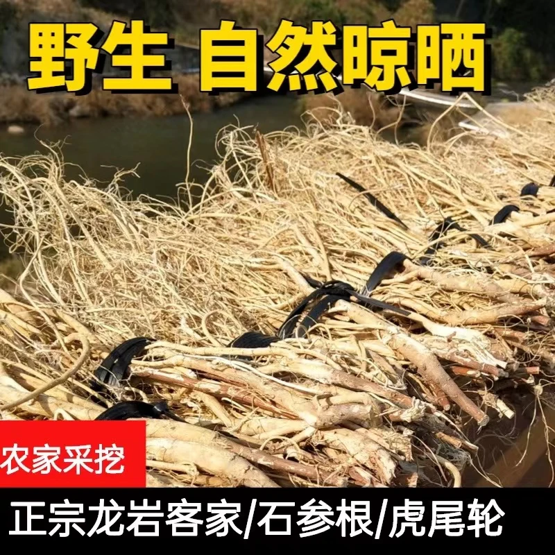 福建武平客家土特产新鲜干品石参根手工虎尾轮煲汤料250克