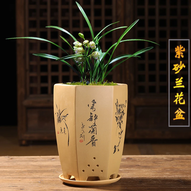 精品紫砂花盆带托盘兰花花盆中小型君子兰蝴蝶兰月季桌面室内花盆