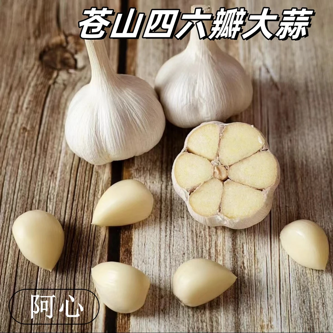 【2025新干蒜】四六瓣大蒜七成干苍山四六瓣三斤五斤特大包邮