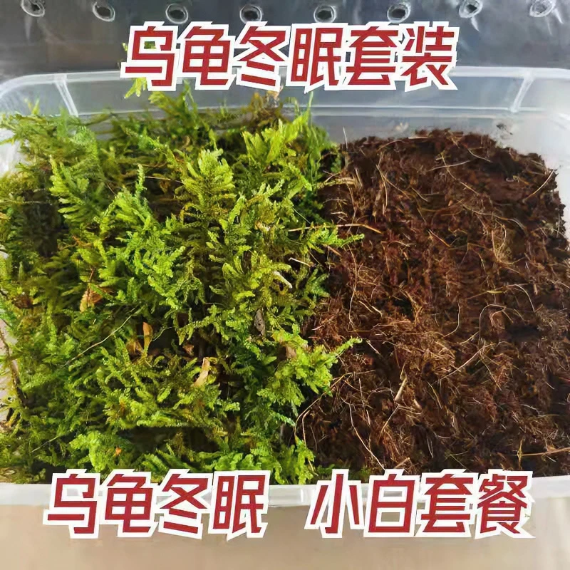 乌龟冬眠箱冬眠套装椰土苔藓乌龟冬眠盒椰砖冬眠专用土冬眠乌龟