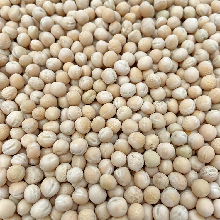 白豌豆新货生豌豆干豌豆带皮豌豆五谷杂粮信鸽鸽粮鸽子饲料豌豆