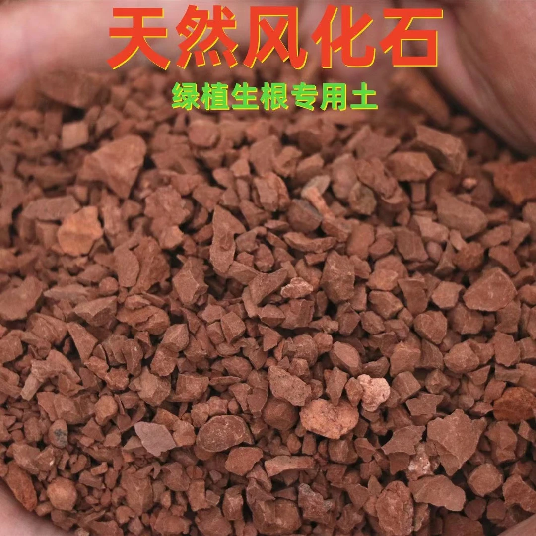 风化石颗粒风化土金弹子扦插多肉茶花兰花渗水透气酸性营养土