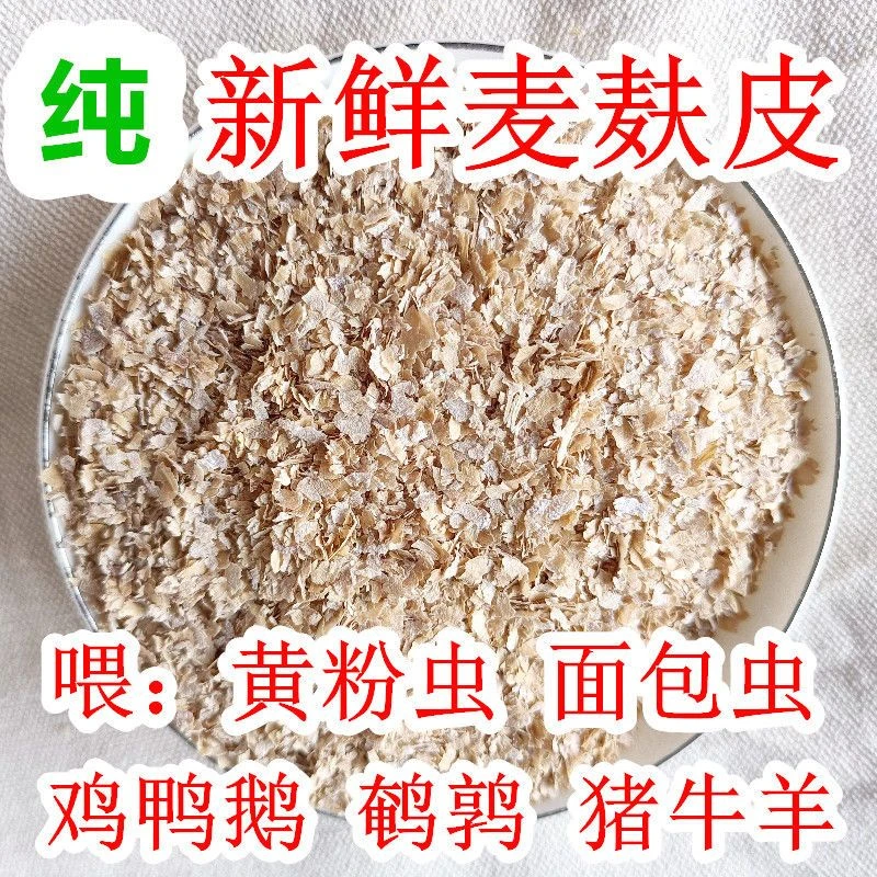 优质新鲜粗细混合麦麸皮钓鱼麦麸子喂鸡鹅牛羊喂黄粉虫面包虫热敷