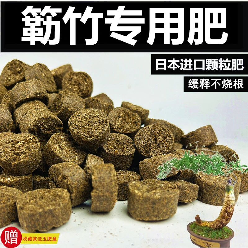 簕竹专用肥长效有机缓释肥日本原装进口肥花卉专用肥玉肥盆景肥