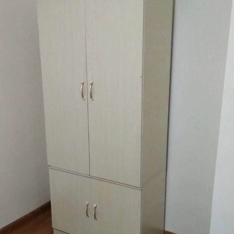 出租房首选，简易衣柜家用带门组装大容量置物玄关阳台柜门厅室外