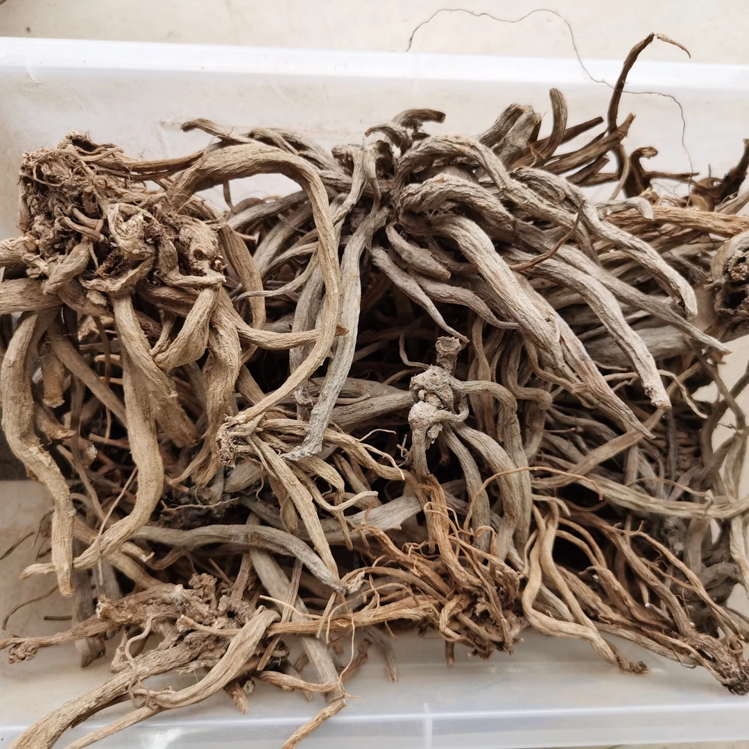 大蓟根 内叶刺头 干品1斤 煲汤食材