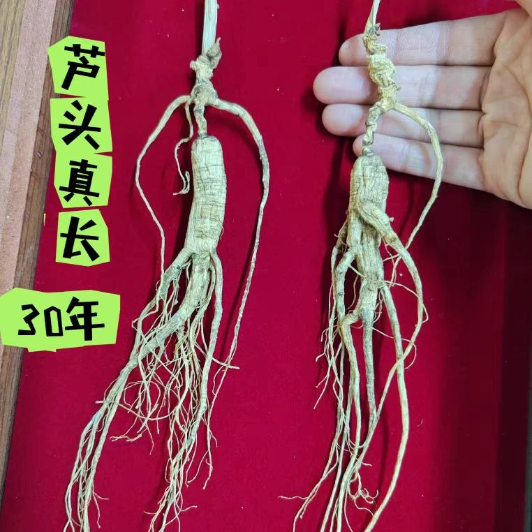 长白山特产人参干参