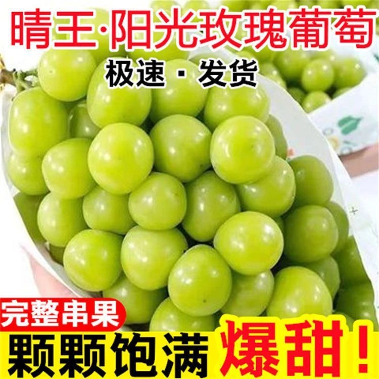 BY现货正宗阳光玫瑰葡萄新鲜晴王葡萄当季无籽香印青提子