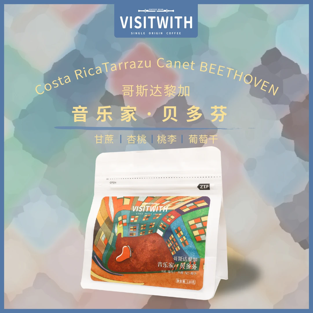 Visitwith哥斯达黎加音乐家肖邦精品咖啡豆110g
